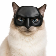 BatCat-mask för katt