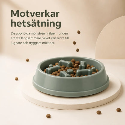 Slow Feeder Hundskål – Matskål för Långsamt Ätande