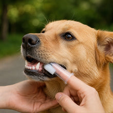 Fingertandborstar i Silikon för Hund och Katt 6-pack