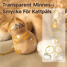 Transparent Katthårsförvaringsbox