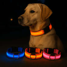 LED Halsband
