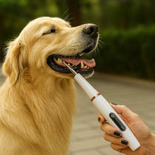 Ultraljud Tandrengörare för Hund & Katt