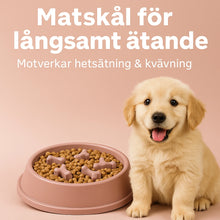 Hundskål Slow Feeder