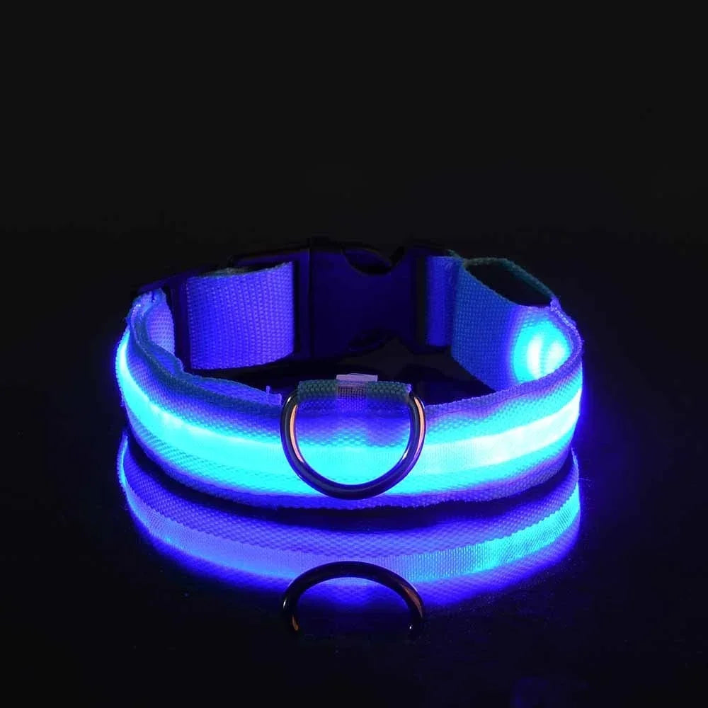 LED Halsband