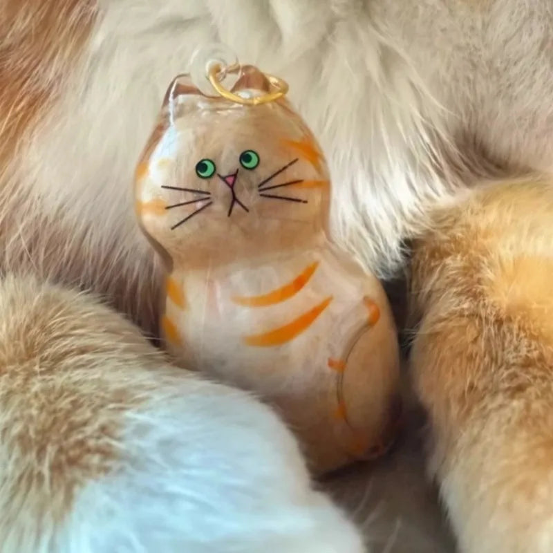 Transparent Katthårsförvaringsbox