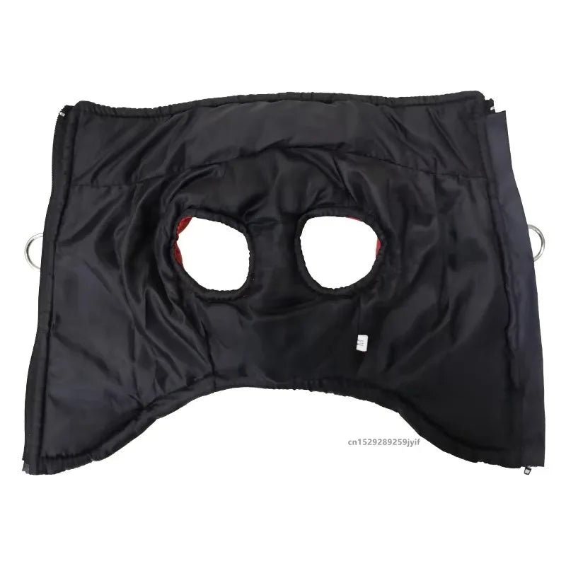 Vattentät Vinterjacka för Hund