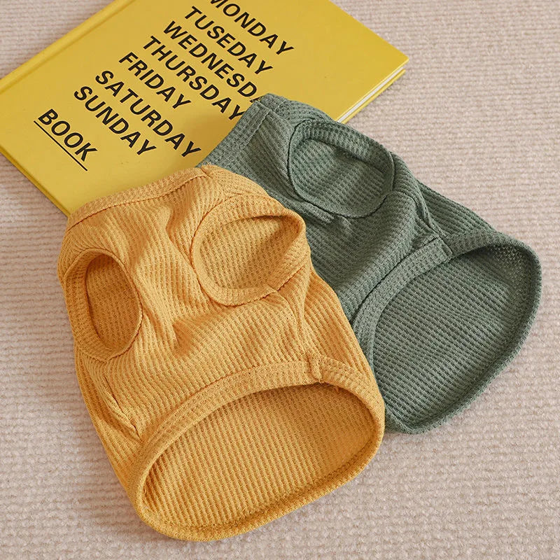 Björntröja för Katt & Liten Hund