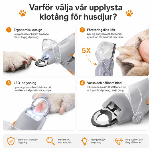 Klotång med LED-ljus för Hund och Katt