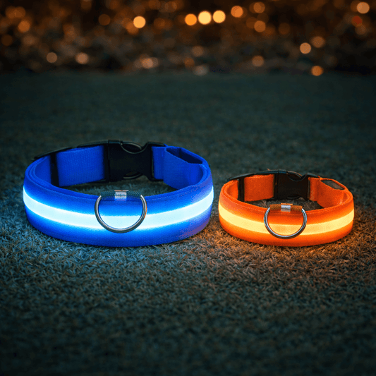 LED Halsband